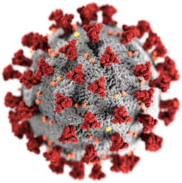 SARS-CoV-2 - CDC/ Alissa Eckert, MS; Dan Higgins, MAM / Public domain
